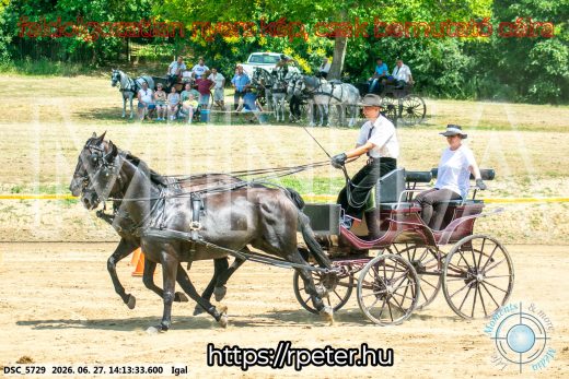 Mintakép 20260627-2187