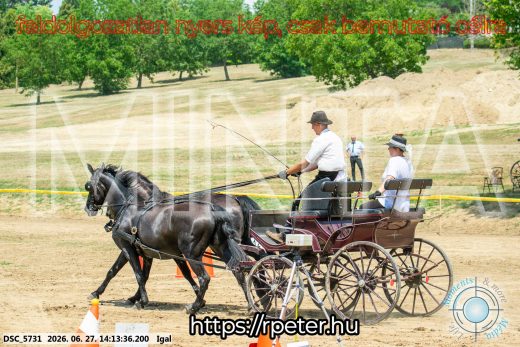 Mintakép 20260627-2188