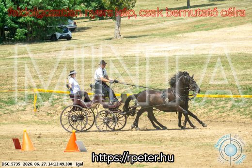 Mintakép 20260627-2189