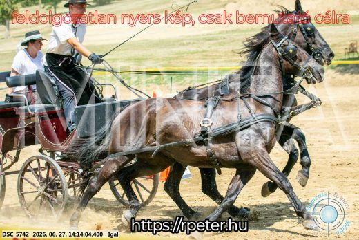 Mintakép 20260627-2191