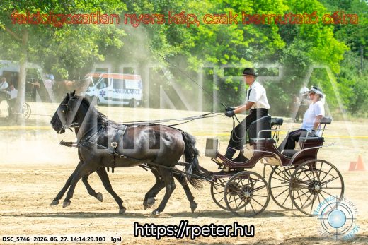 Mintakép 20260627-2193