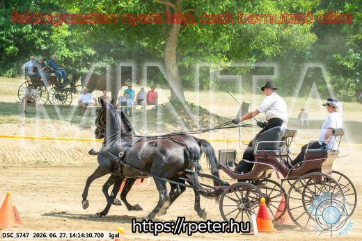 Mintakép 20260627-2194