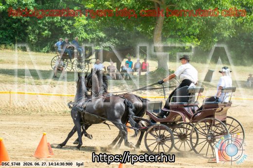 Mintakép 20260627-2195