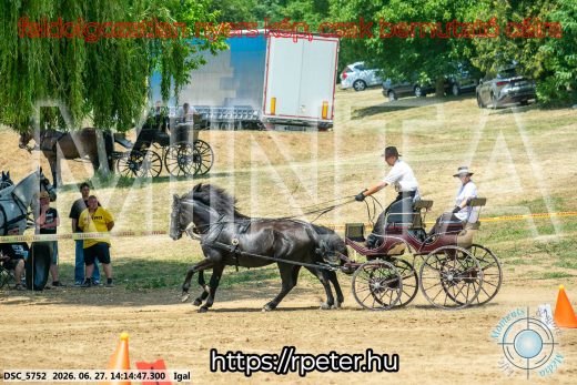Mintakép 20260627-2197