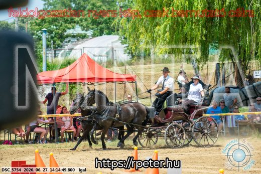 Mintakép 20260627-2199