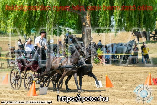 Mintakép 20260627-2200