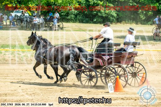Mintakép 20260627-2204