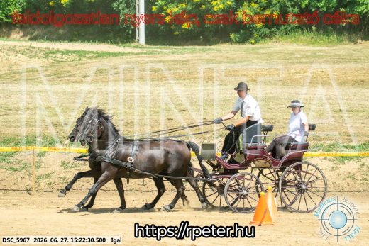 Mintakép 20260627-2217