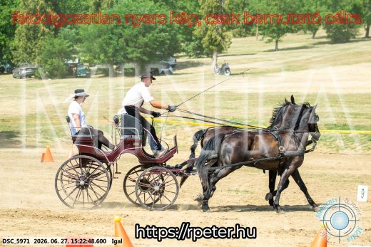 Mintakép 20260627-2222