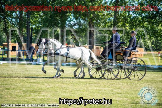 Mintakép 20260612-60