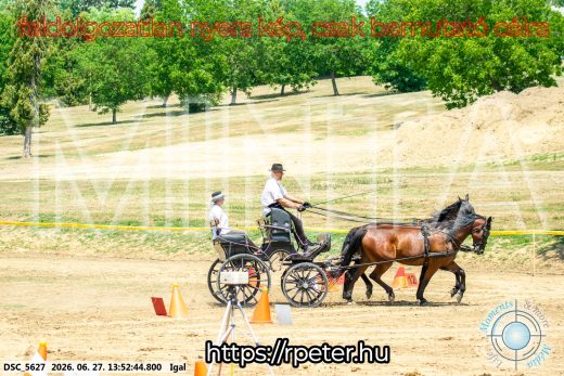 Mintakép 20260627-2252