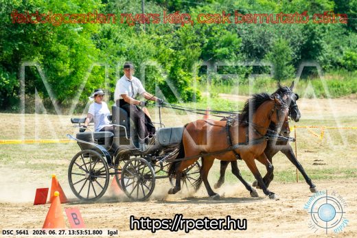 Mintakép 20260627-2261
