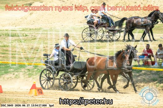 Mintakép 20260627-2262