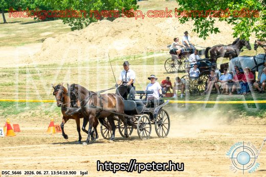 Mintakép 20260627-2263