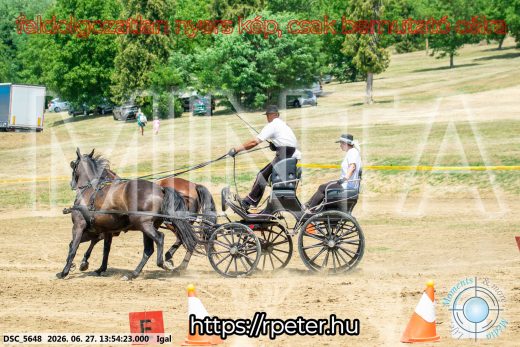 Mintakép 20260627-2265