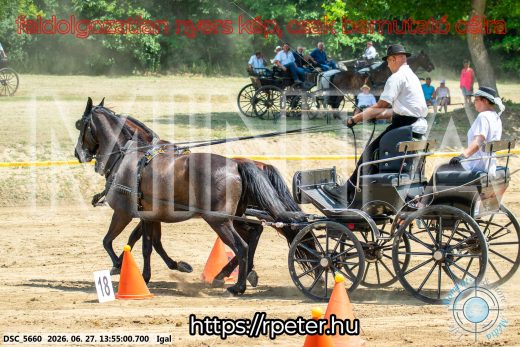 Mintakép 20260627-2271