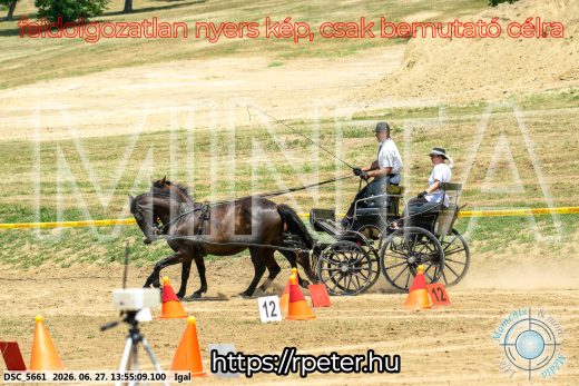 Mintakép 20260627-2272