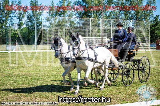 Mintakép 20260612-64