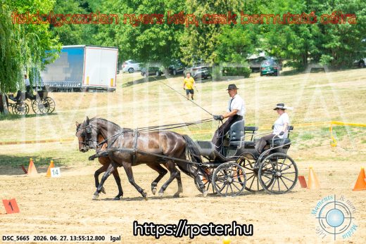 Mintakép 20260627-2275