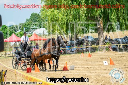 Mintakép 20260627-2276