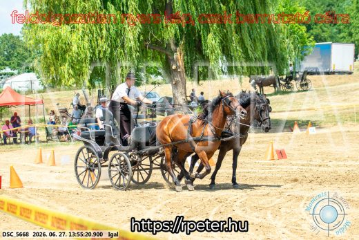 Mintakép 20260627-2277