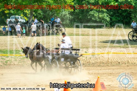 Mintakép 20260627-2284