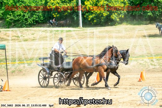 Mintakép 20260627-2286