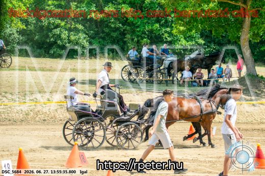 Mintakép 20260627-2287