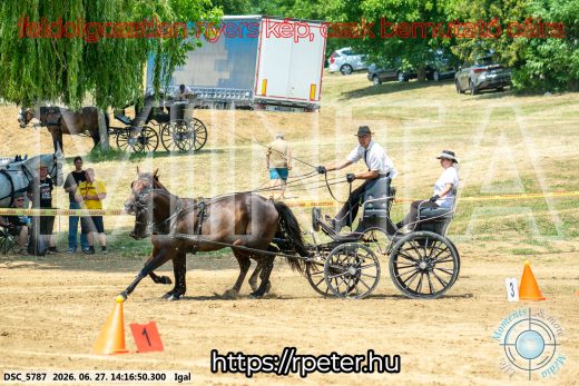 Mintakép 20260627-2291