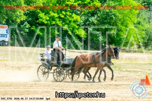 Mintakép 20260627-2293