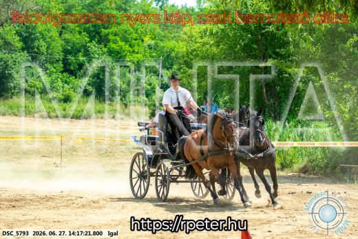 Mintakép 20260627-2294