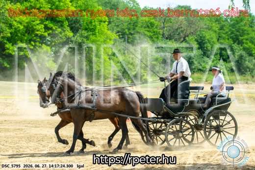 Mintakép 20260627-2296