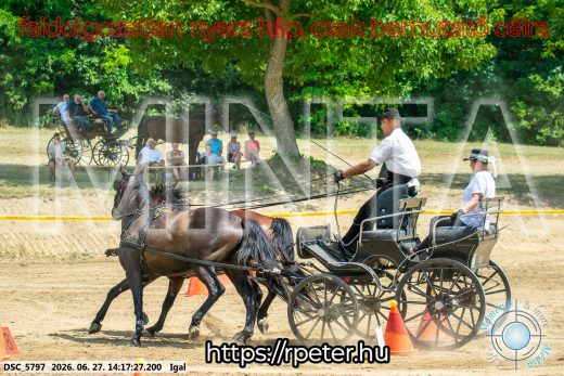 Mintakép 20260627-2298