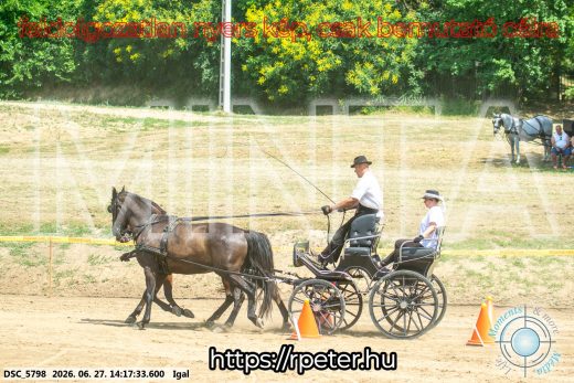 Mintakép 20260627-2299