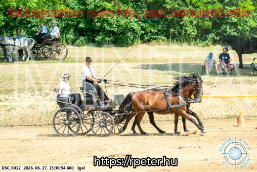 Mintakép 20260627-2312