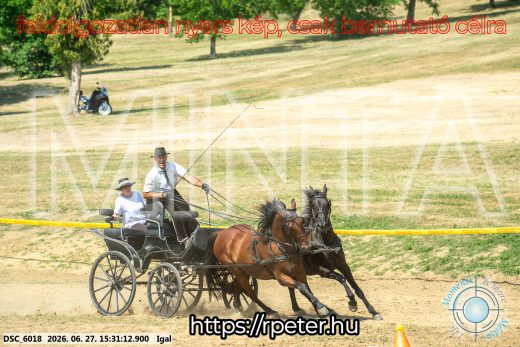 Mintakép 20260627-2317
