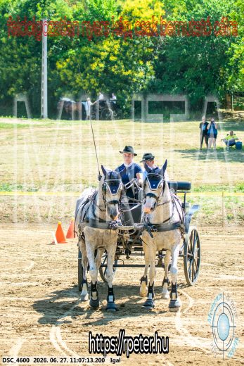 20260627-110713-DSC_4600.jpg
