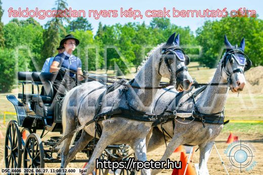 Mintakép 20260627-2341