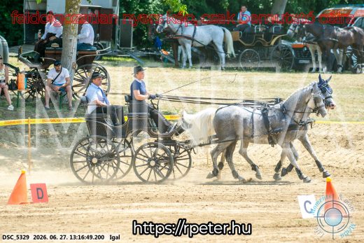 Mintakép 20260627-2364
