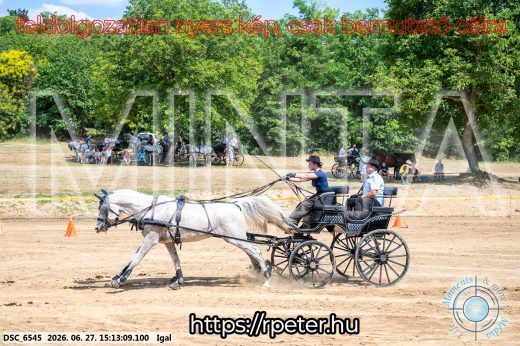 Mintakép 20260627-2384
