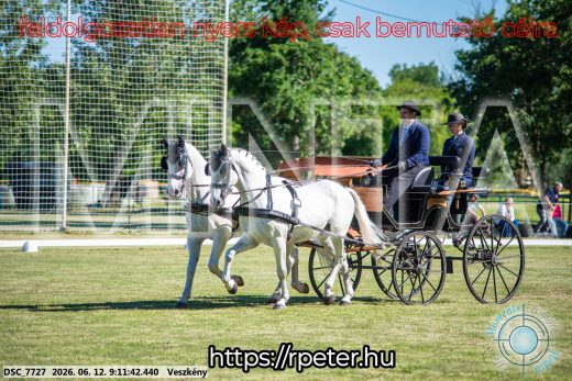 Mintakép 20260612-75