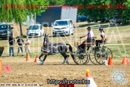 Mintakép 20260627-2393