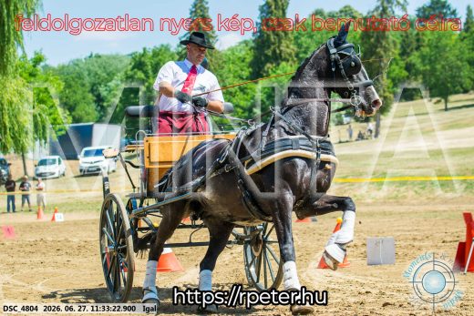 Mintakép 20260627-2396