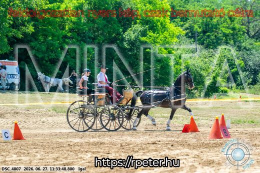 Mintakép 20260627-2399