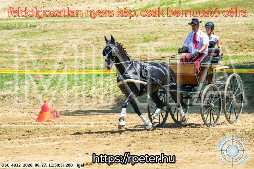 Mintakép 20260627-2411
