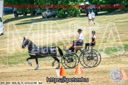Mintakép 20260627-2412