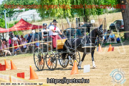 Mintakép 20260627-2413