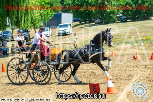 Mintakép 20260627-2418