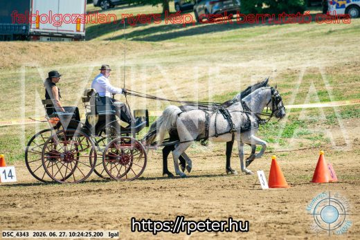 20260627-102425-DSC_4343.jpg
