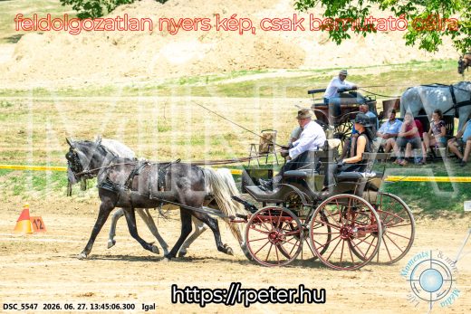 Mintakép 20260627-2434